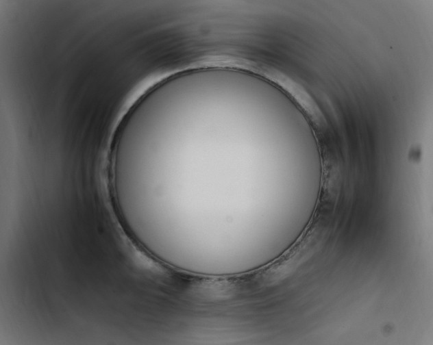 X0000103451094200809121421