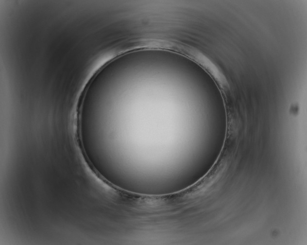 X0000103451095200809121421