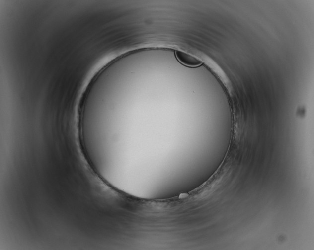 X0000103451096200809121421