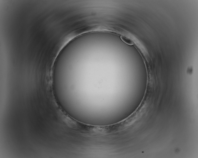 X0000103451097200809121421