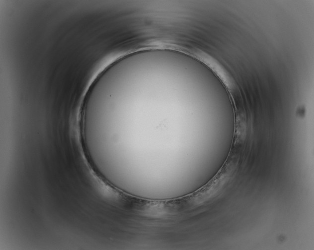 X0000103451098200809121421