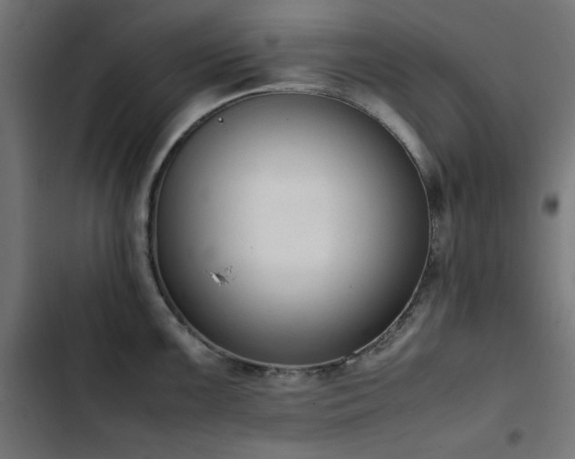 X0000103451099200809121421