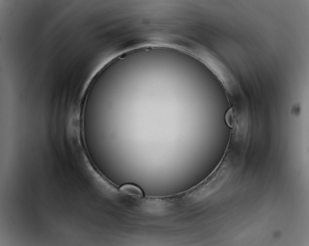 X0000103451100200809121421