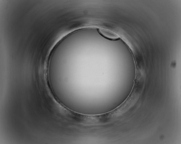 X0000103451101200809121421