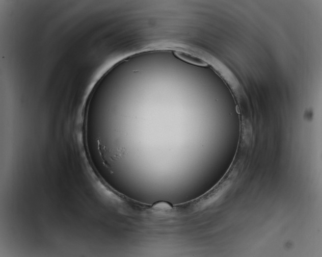 X0000103451102200809121421