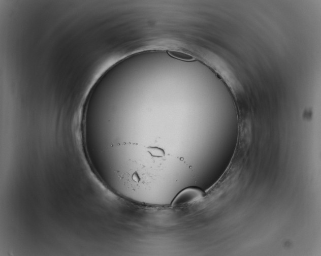 X0000103451103200809121421