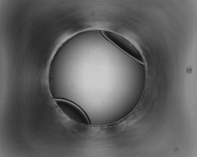 X0000103451104200809121421