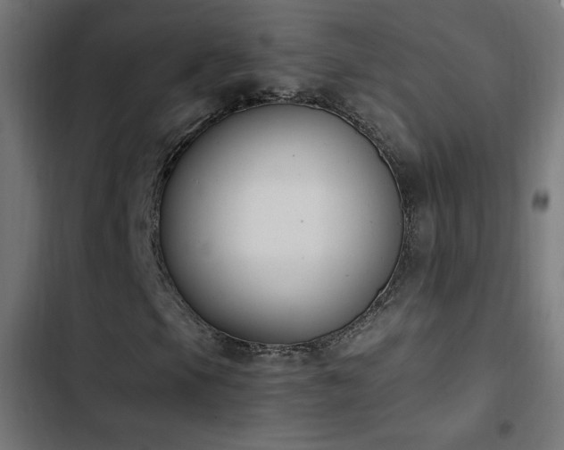 X0000103451105200809121420