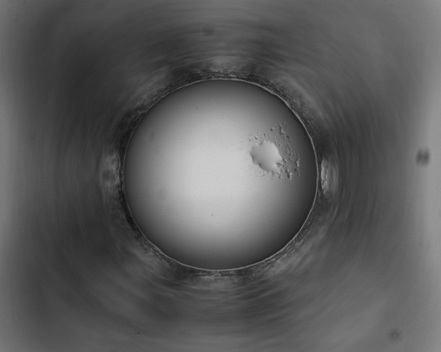 X0000103451107200809121420