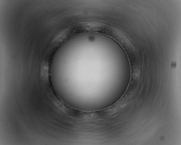 X0000103451108200809121421