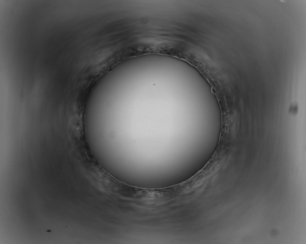 X0000103451109200809121421