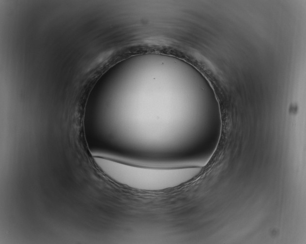 X0000103451110200809121421