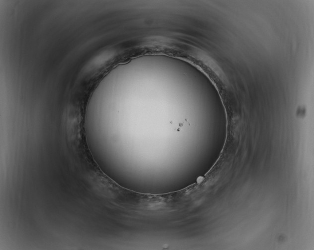 X0000103451111200809121421