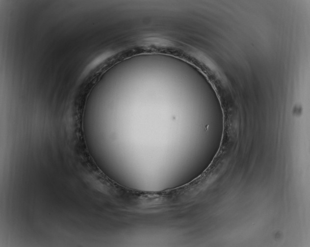 X0000103451112200809121421