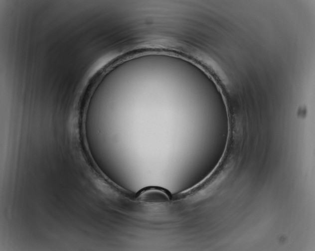 X0000103451114200809121421