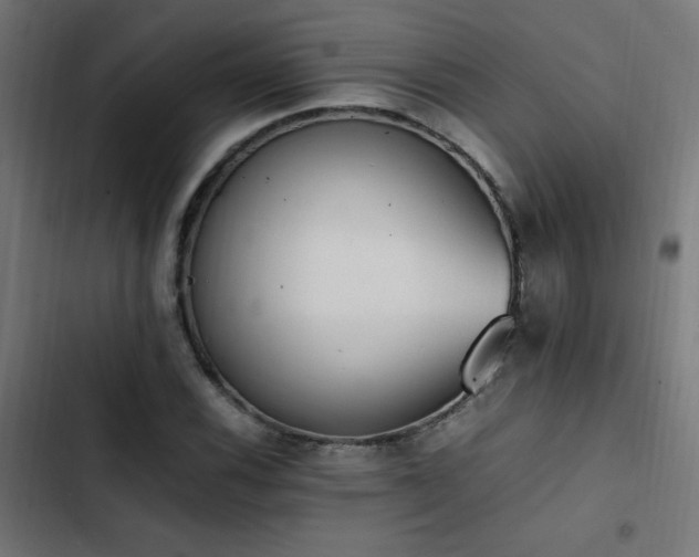X0000103451116200809121421