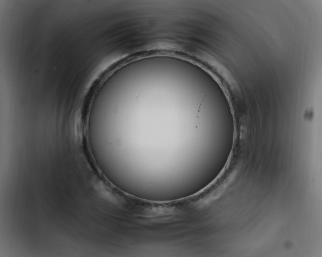 X0000103451117200809121421