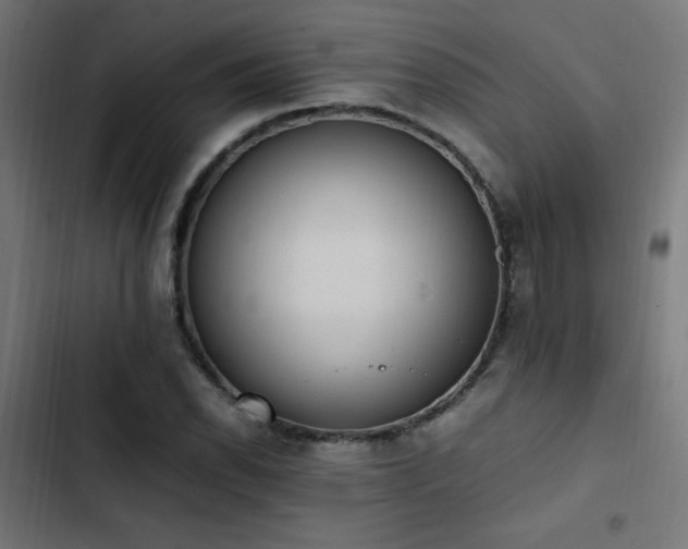 X0000103451118200809121421