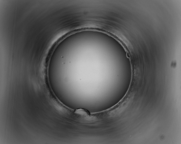 X0000103451119200809121421