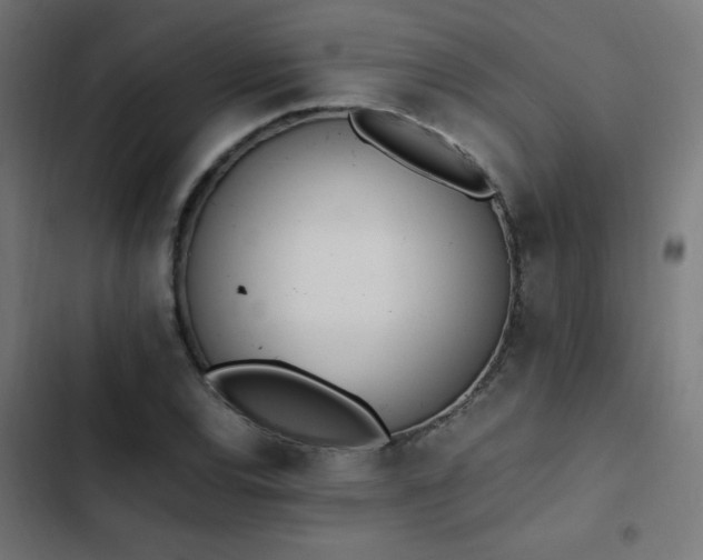 X0000103451120200809121421