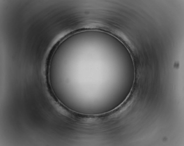 X0000103451122200809121421