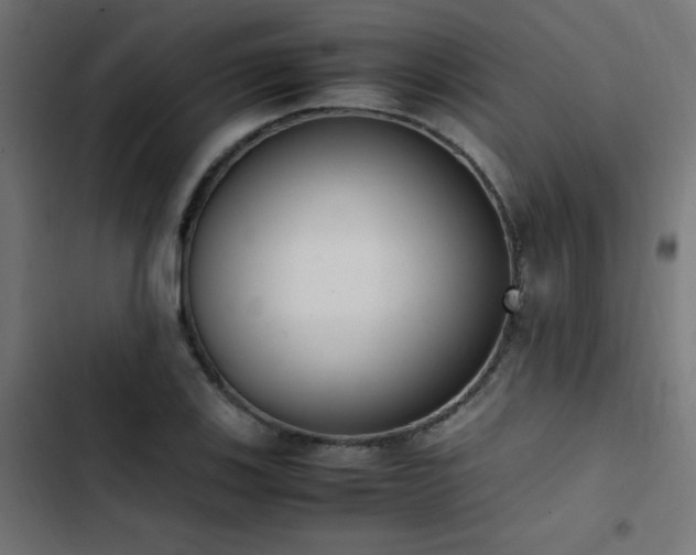 X0000103451123200809121421