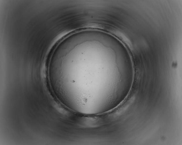 X0000103451125200809121421