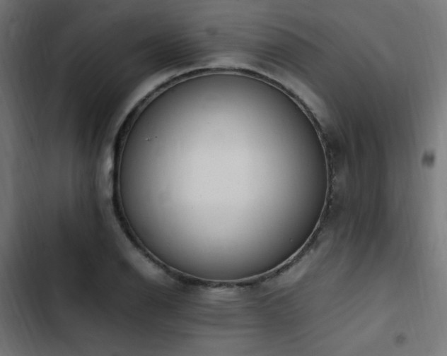 X0000103451126200809121421
