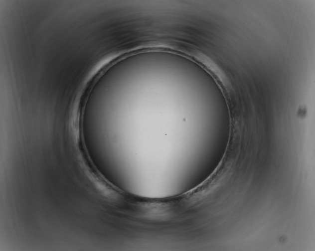X0000103451127200809121421