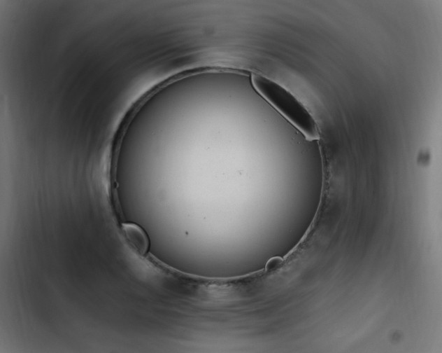 X0000103451128200809121421