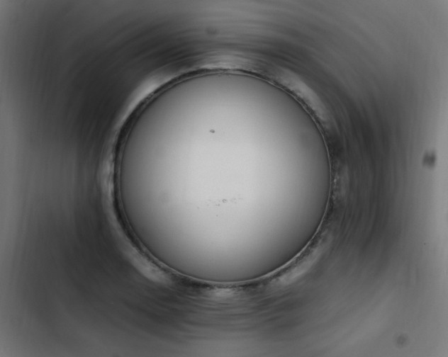 X0000103451130200809121421
