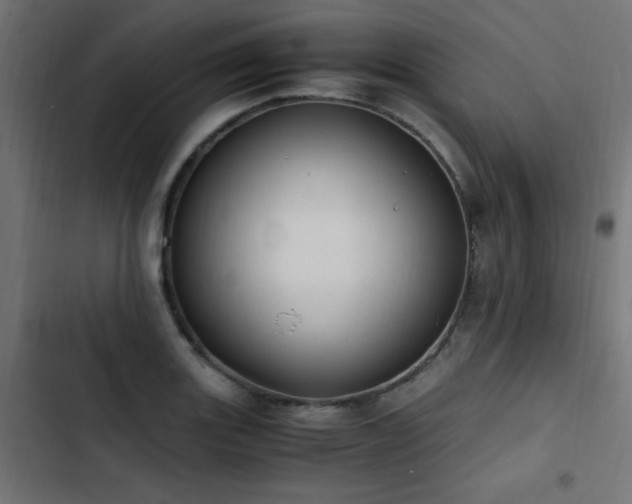 X0000103451131200809121421
