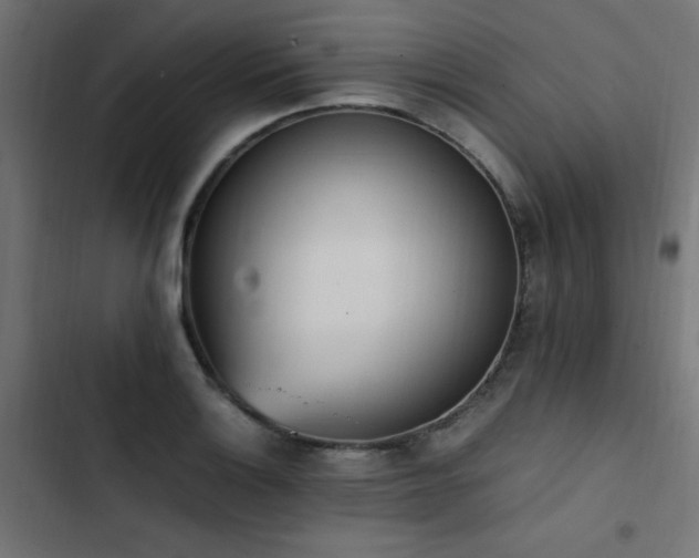 X0000103451132200809121421