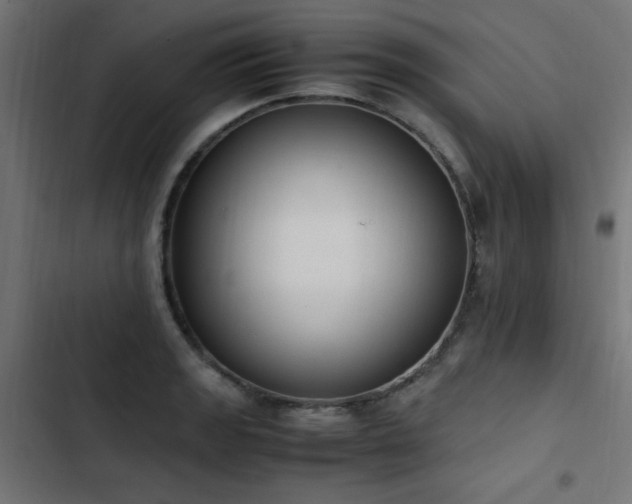 X0000103451133200809121421