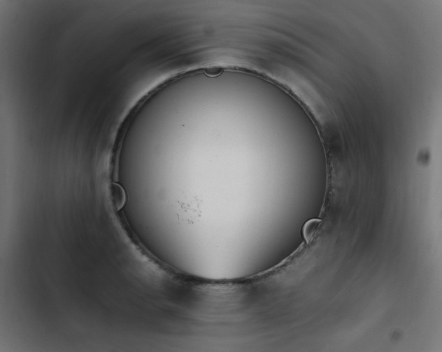 X0000103451134200809121421