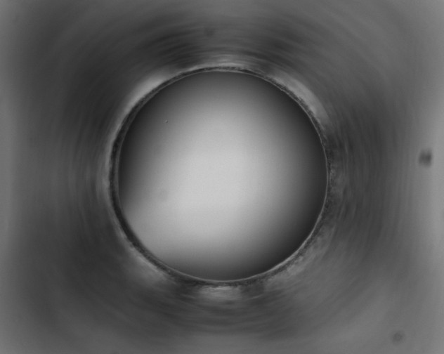 X0000103451135200809121421