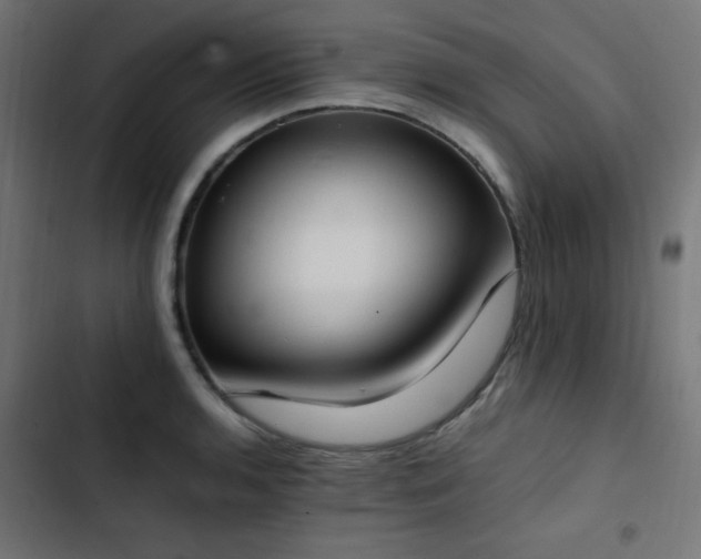 X0000103451136200809121421