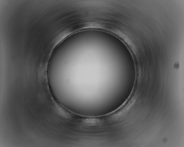 X0000103451137200809121421