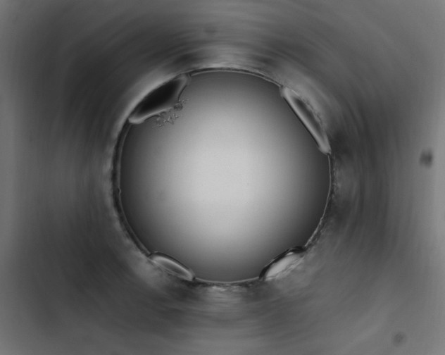 X0000103451138200809121421
