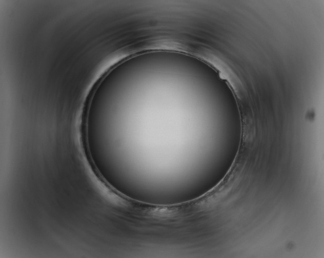 X0000103451139200809121421