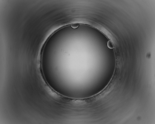 X0000103451140200809121421