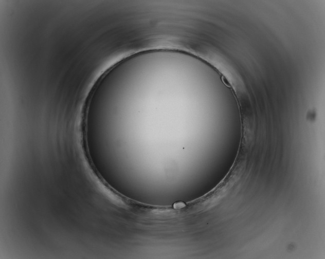 X0000103451142200809121421