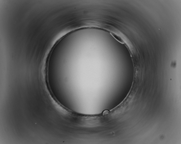 X0000103451143200809121421