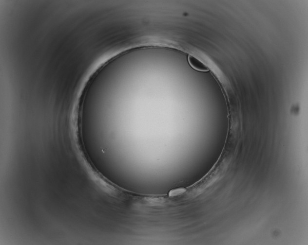 X0000103451144200809121421