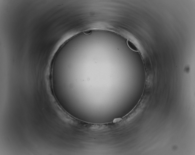 X0000103451146200809121421