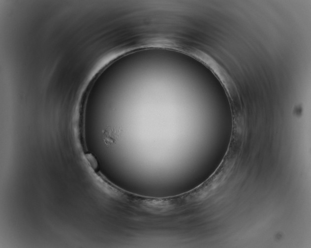 X0000103451147200809121421