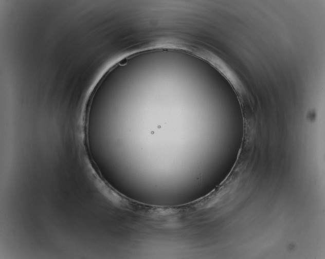 X0000103451148200809121421