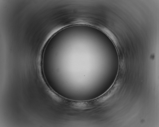 X0000103451149200809121421