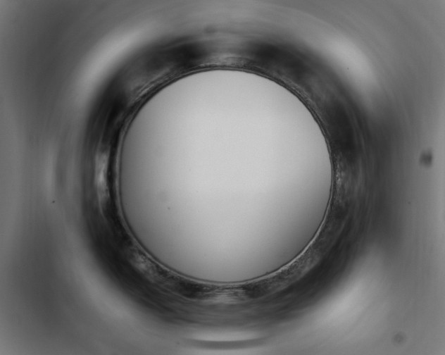 X0000103451150200809121421