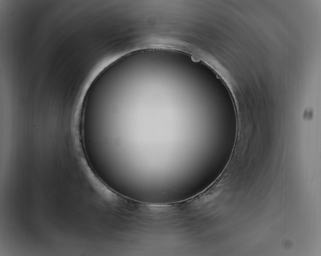 X0000103451152200809121421